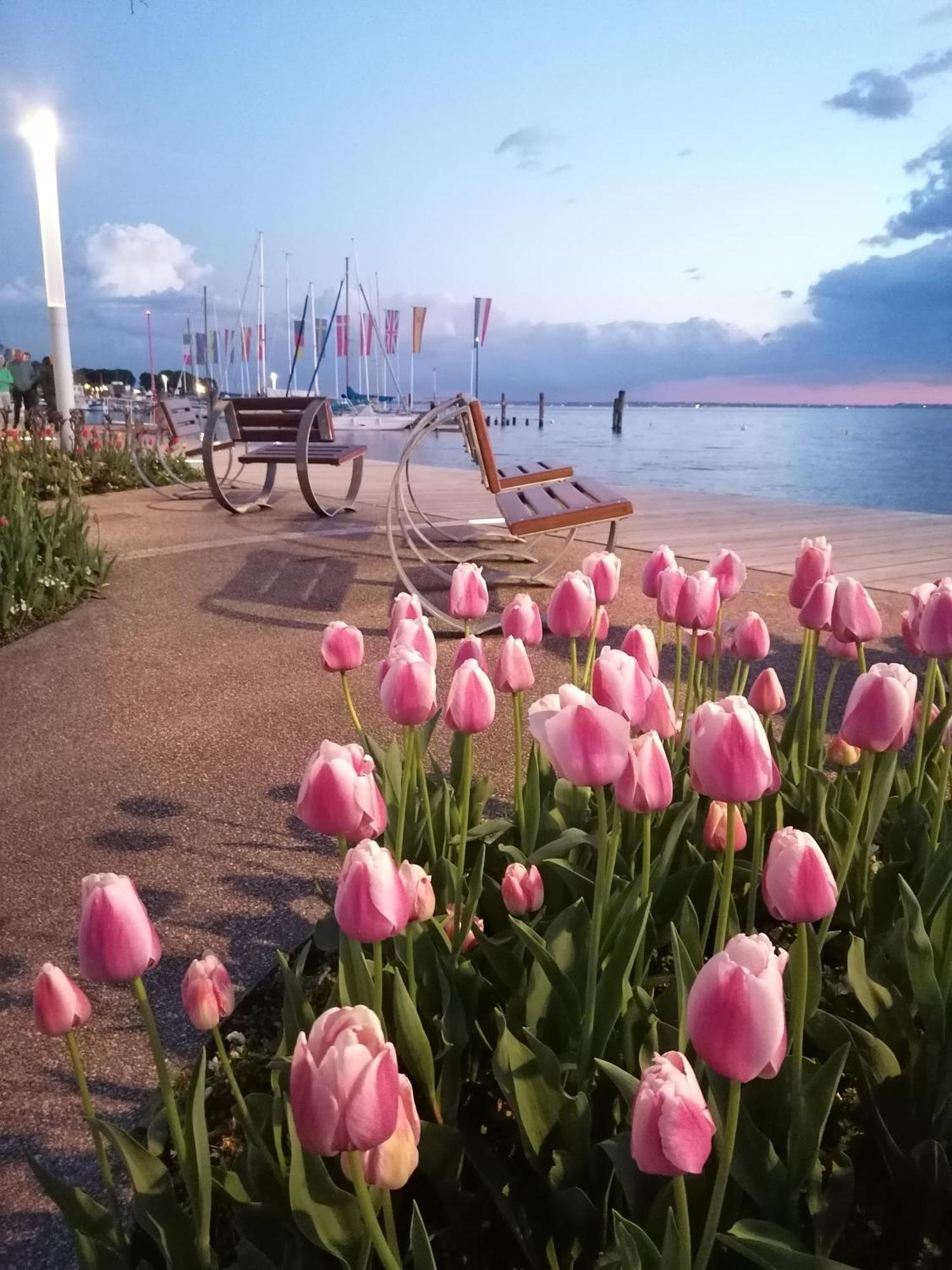 La Casa Di Marzia Appartement Bardolino Buitenkant foto