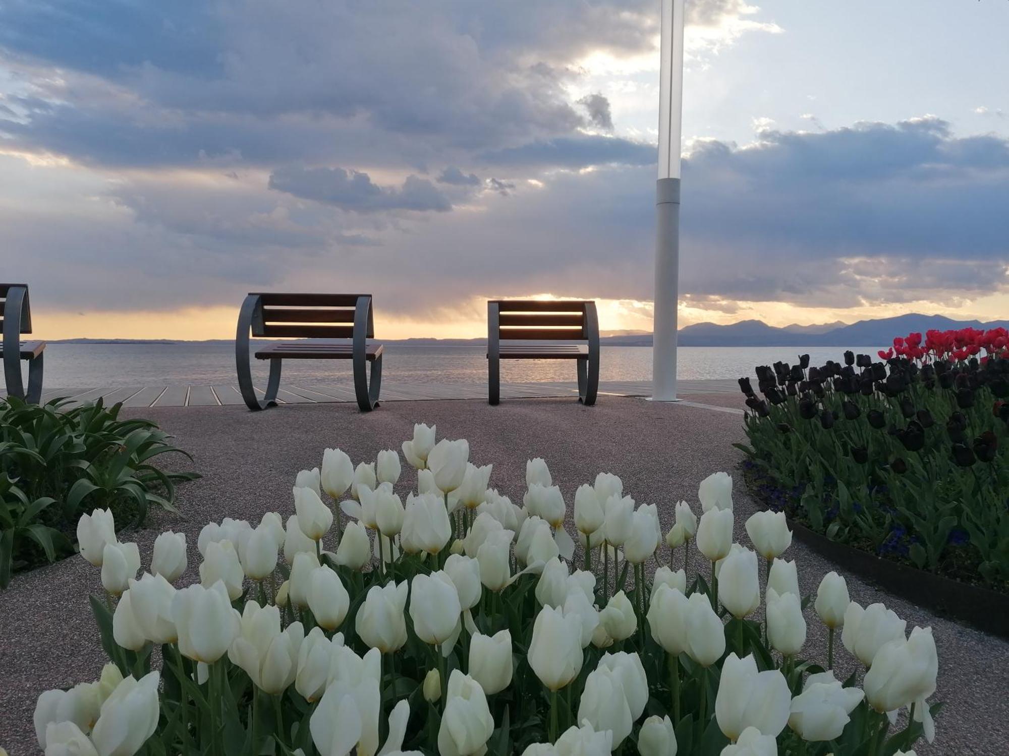 La Casa Di Marzia Appartement Bardolino Buitenkant foto